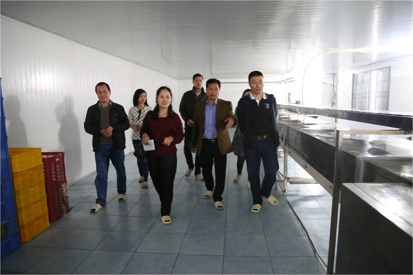 Đường tồn kho ép giá mía nông dân